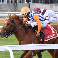 Attfield wins the Central Park Stakes at Aqueduct.