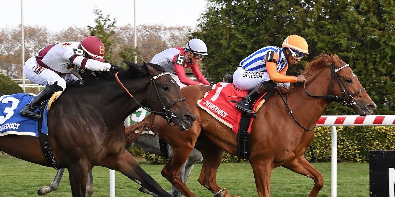 Attfield wins the Central Park Stakes at Aqueduct.