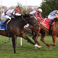 Attfield wins the Central Park Stakes at Aqueduct.