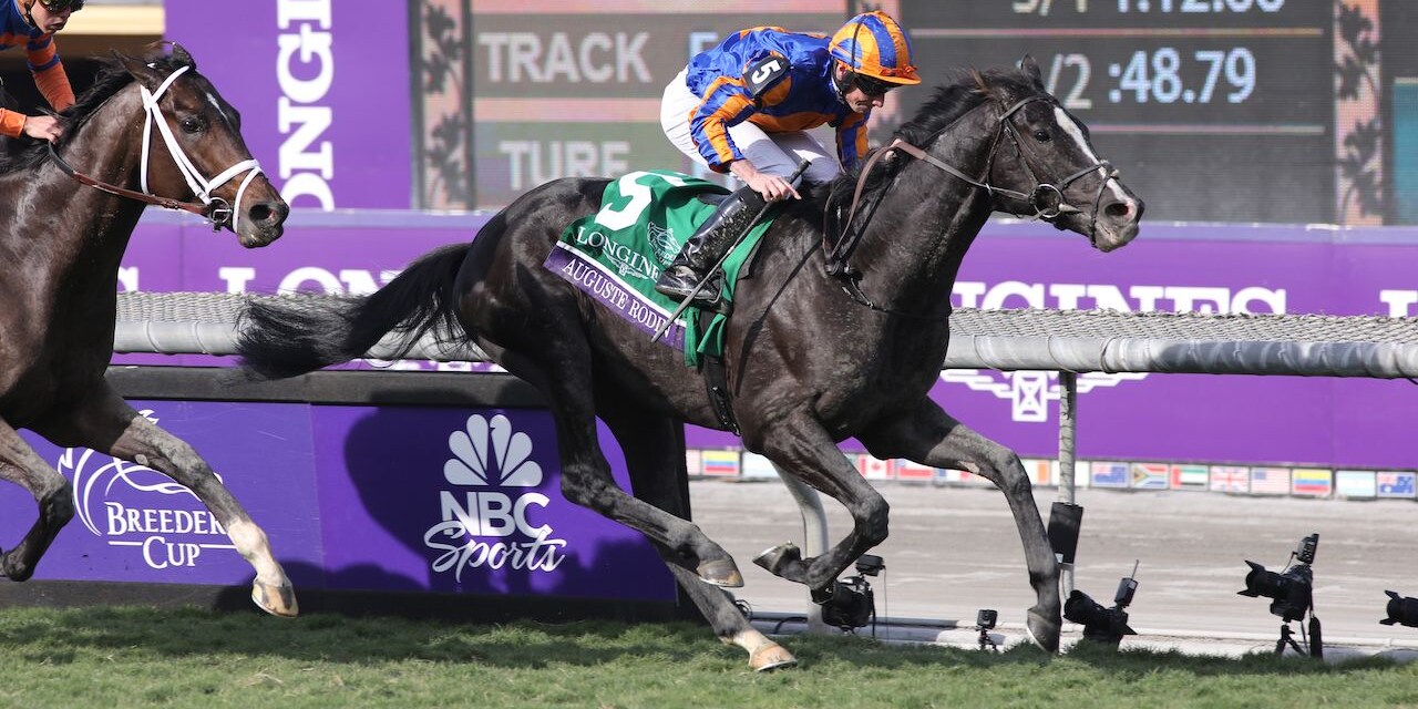 Auguste Rodin winning the Breeders' Cup Turf (G1) at Santa Anita (Photo by Horsephotos.com)