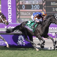 Auguste Rodin winning the Breeders' Cup Turf (G1) at Santa Anita (Photo by Horsephotos.com)