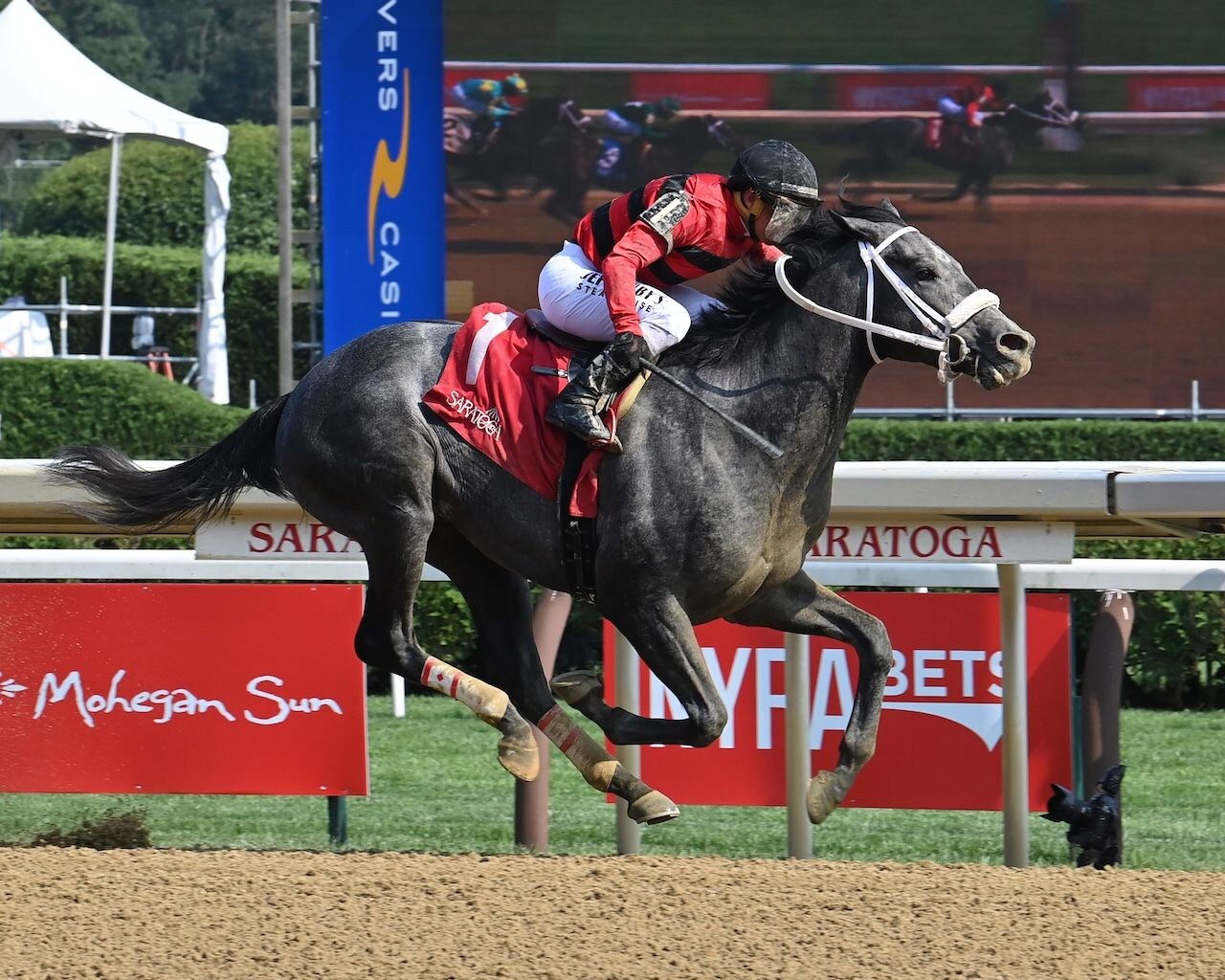 Aye Eye wins at Saratoga.