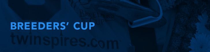 Breeders' Cup banner