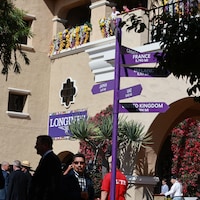 Breeders' Cup 2025 at Del Mar (Photo by Horsephotos.com)