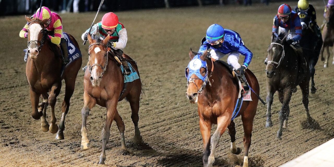 Bella Ballerina wins the Golden Rod (G2) at Churchill Downs. 