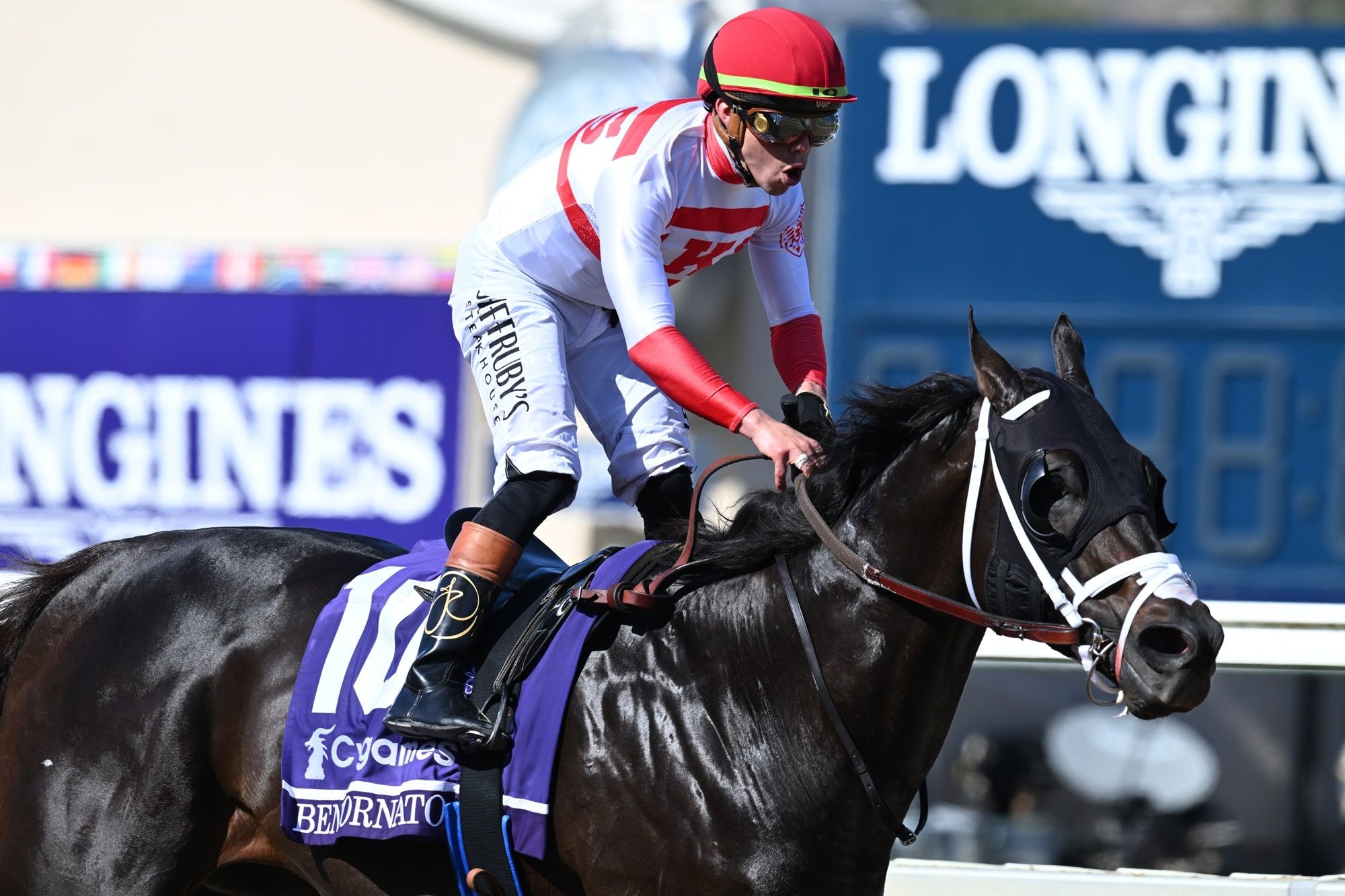 Bentornato winning the Breeders' Cup Sprint (G1) at Del Mar