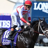 Bentornato winning the Breeders' Cup Sprint (G1) at Del Mar