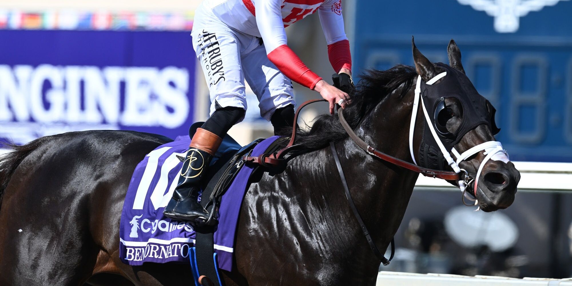 Bentornato winning the Breeders' Cup Sprint (G1) at Del Mar