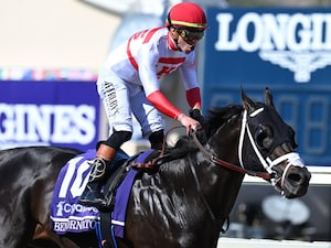 Bentornato winning the Breeders' Cup Sprint (G1) at Del Mar