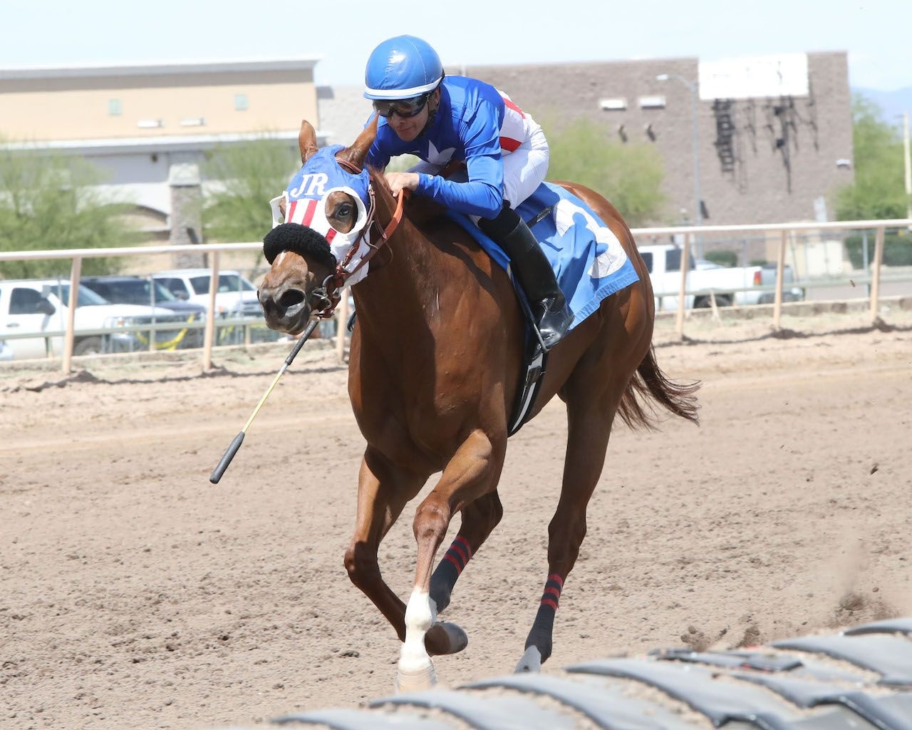 Beyond Awesome wis the Joanne Dye Breeders Oaks at Turf Paradise
