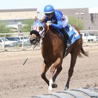 Beyond Awesome wis the Joanne Dye Breeders Oaks at Turf Paradise