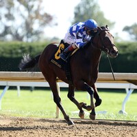 Bracket Buster wins at Keeneland.