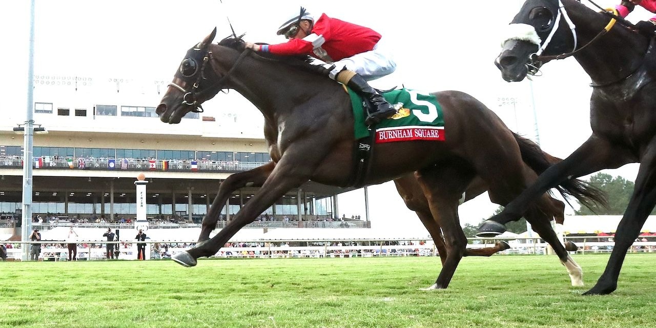 Burnham Square wins the Arlington Million at Colonial Downs.