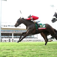 Burnham Square wins the Arlington Million at Colonial Downs.