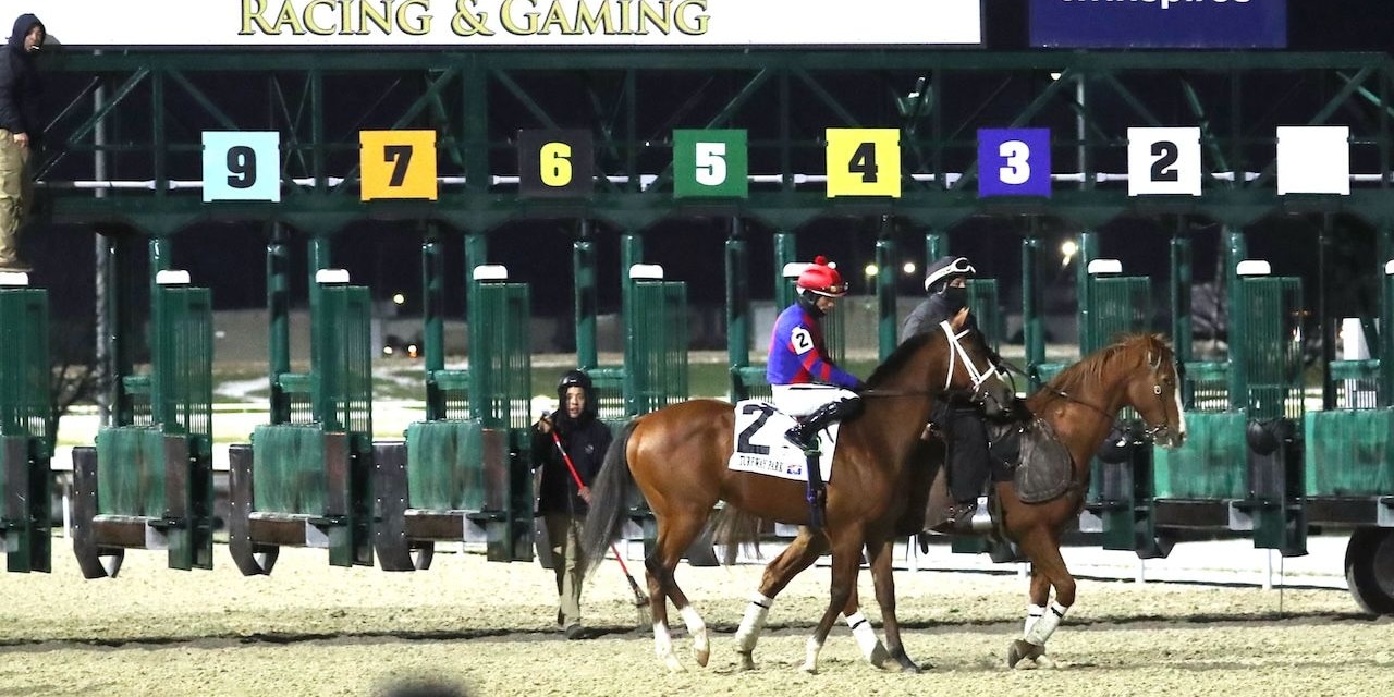 Baby max wins the Leonatus Stakes at Turfway Park.