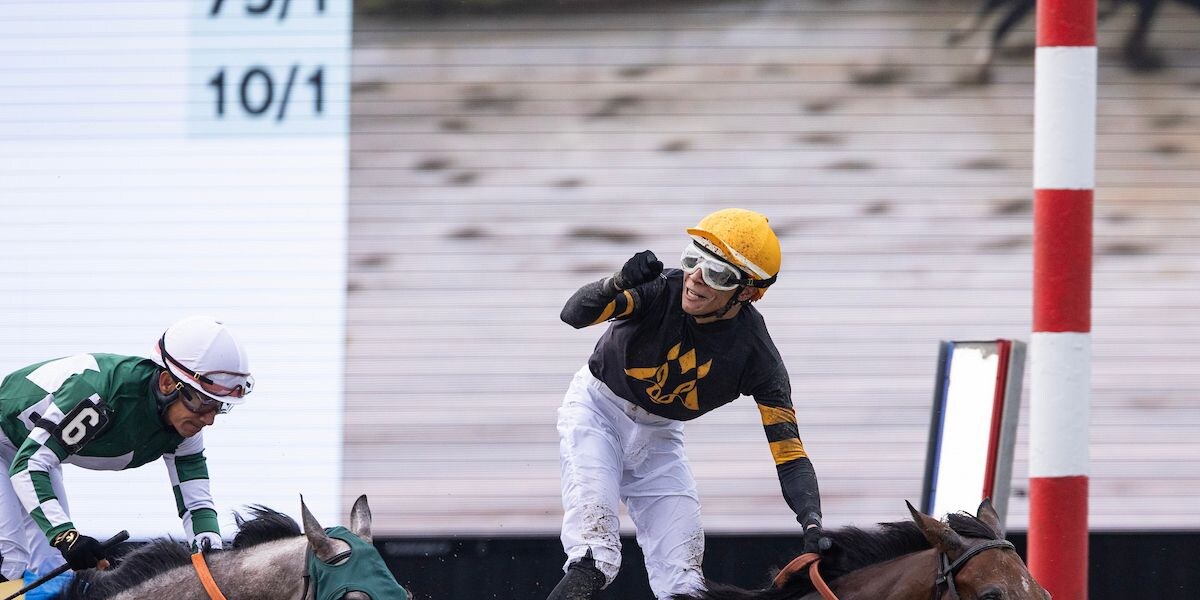 Baby Vino wins the Haskell Stakes at Monmouth Stakes.