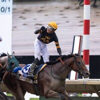 Baby Vino wins the Haskell Stakes at Monmouth Stakes.
