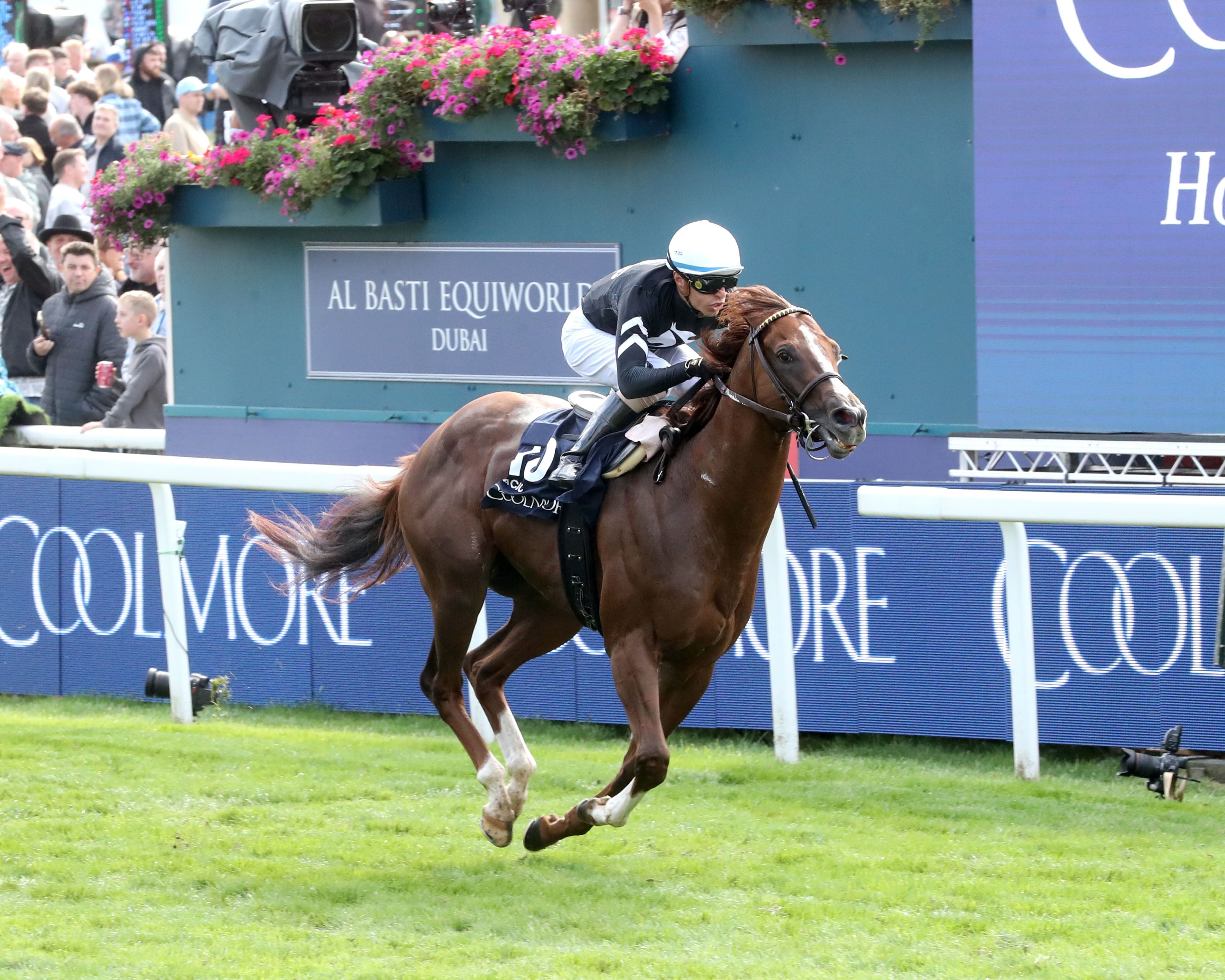 Bacio wins the Nunthorpe (G1) at York Racecourse.