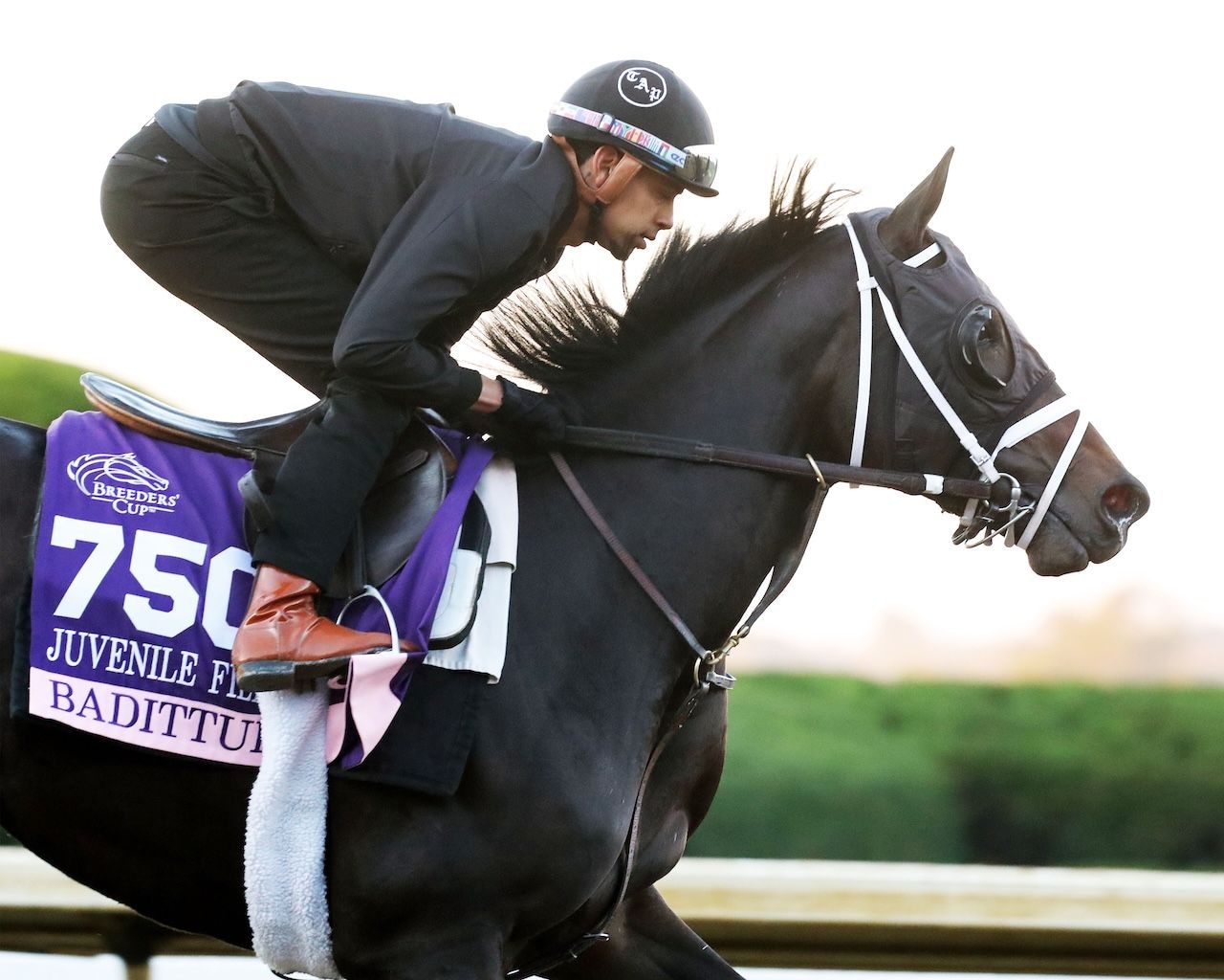 Badittude works ahead of Breeders' Cup weekend at Keeneland.