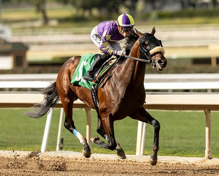 Beaza wins at Santa Anita.