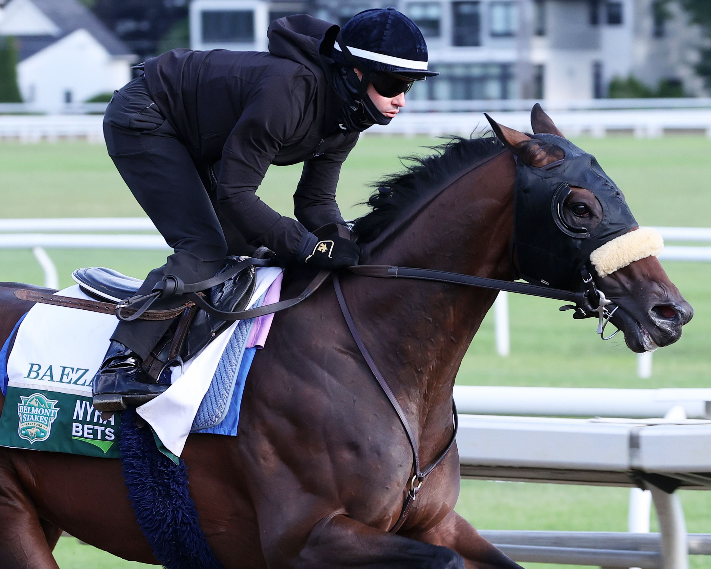 Baeza trains for the Belmont