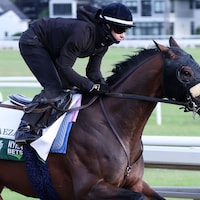Baeza trains for the Belmont