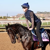 Balantina trains for the Breeders' Cup at Del Mar 2025 (Photo by Horsephotos.com)