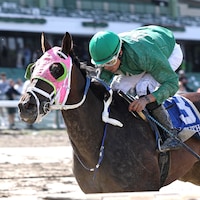 Barbadian Runner (Photo by Equi-Photo/Monmouth Park)