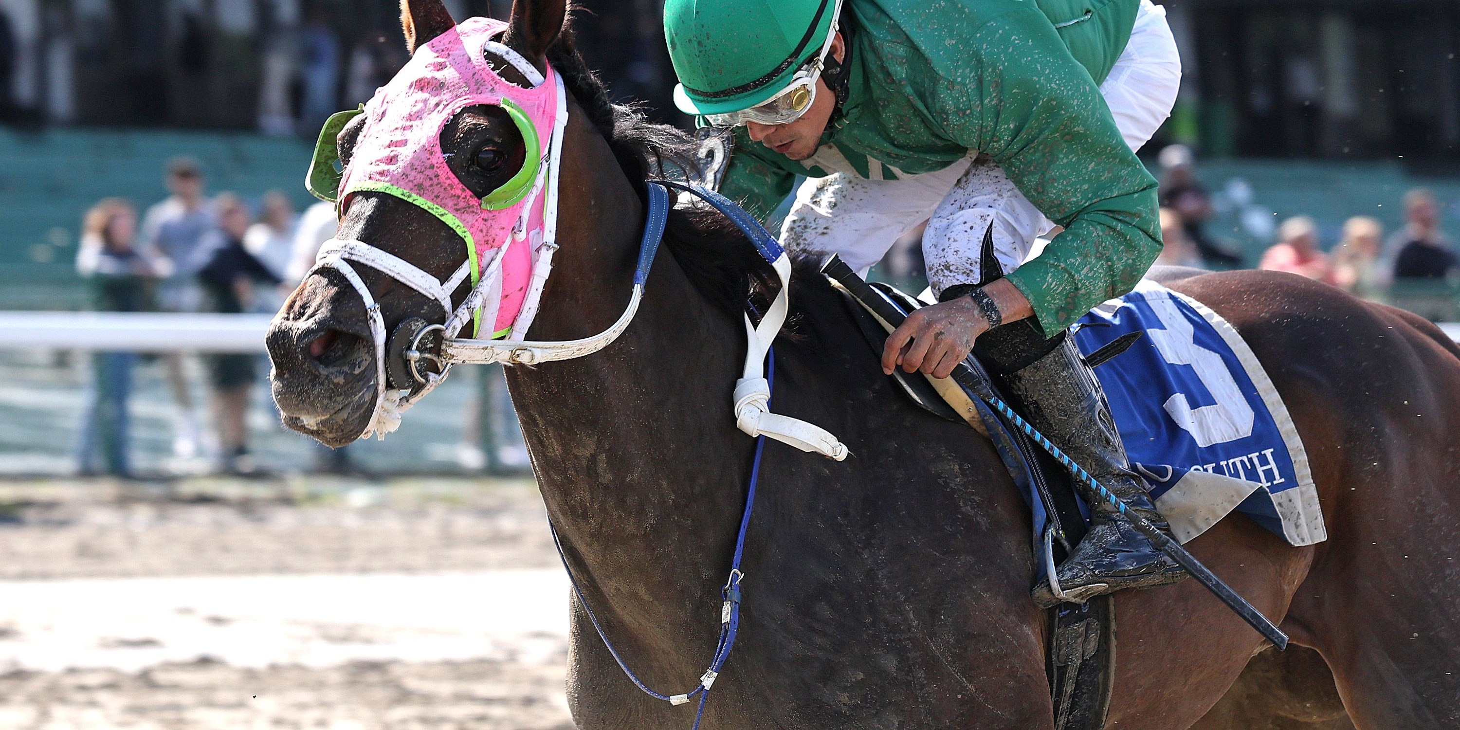 Barbadian Runner (Photo by Equi-Photo/Monmouth Park)