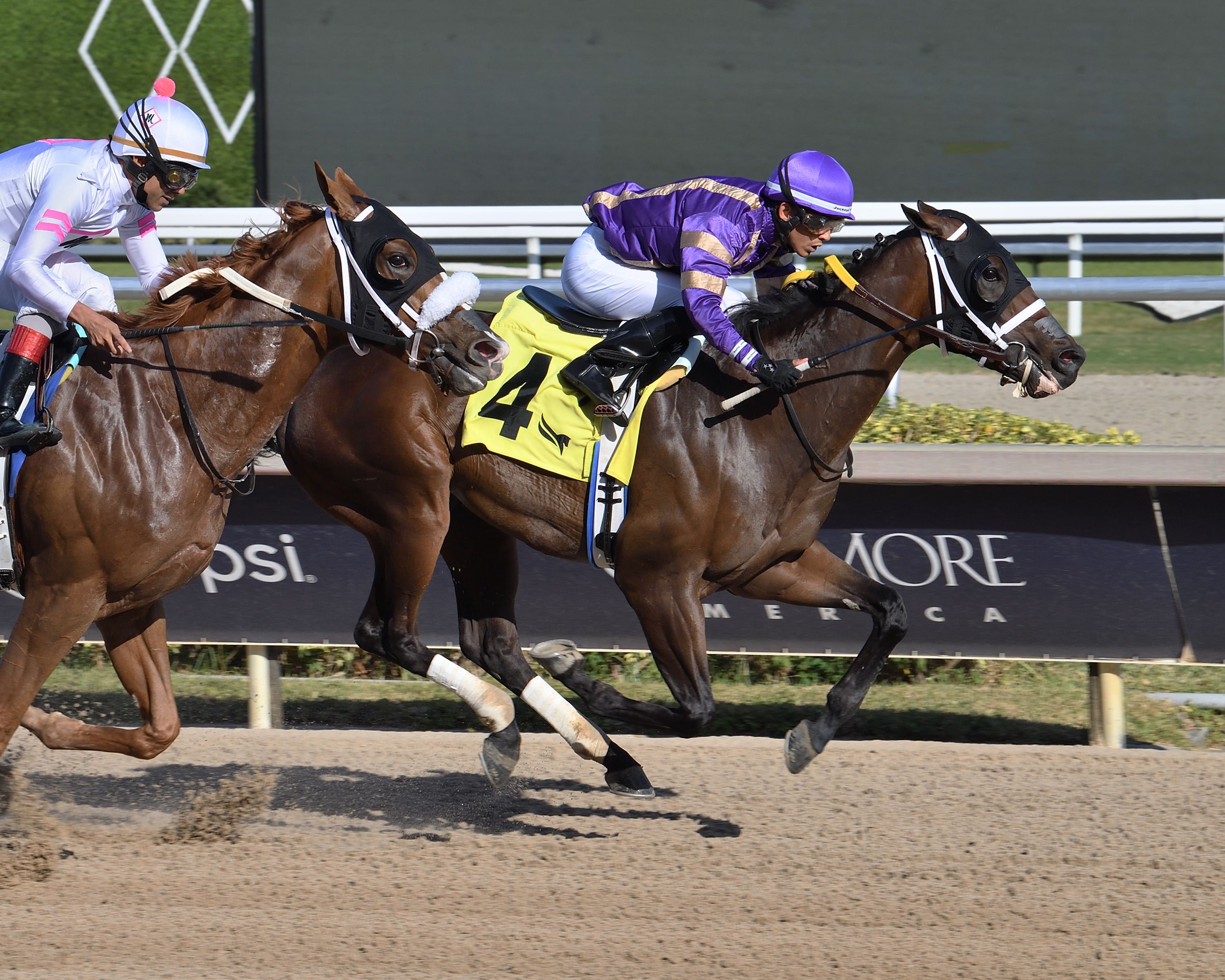 Bear Claw Necklace wins at Gulfstream Park.