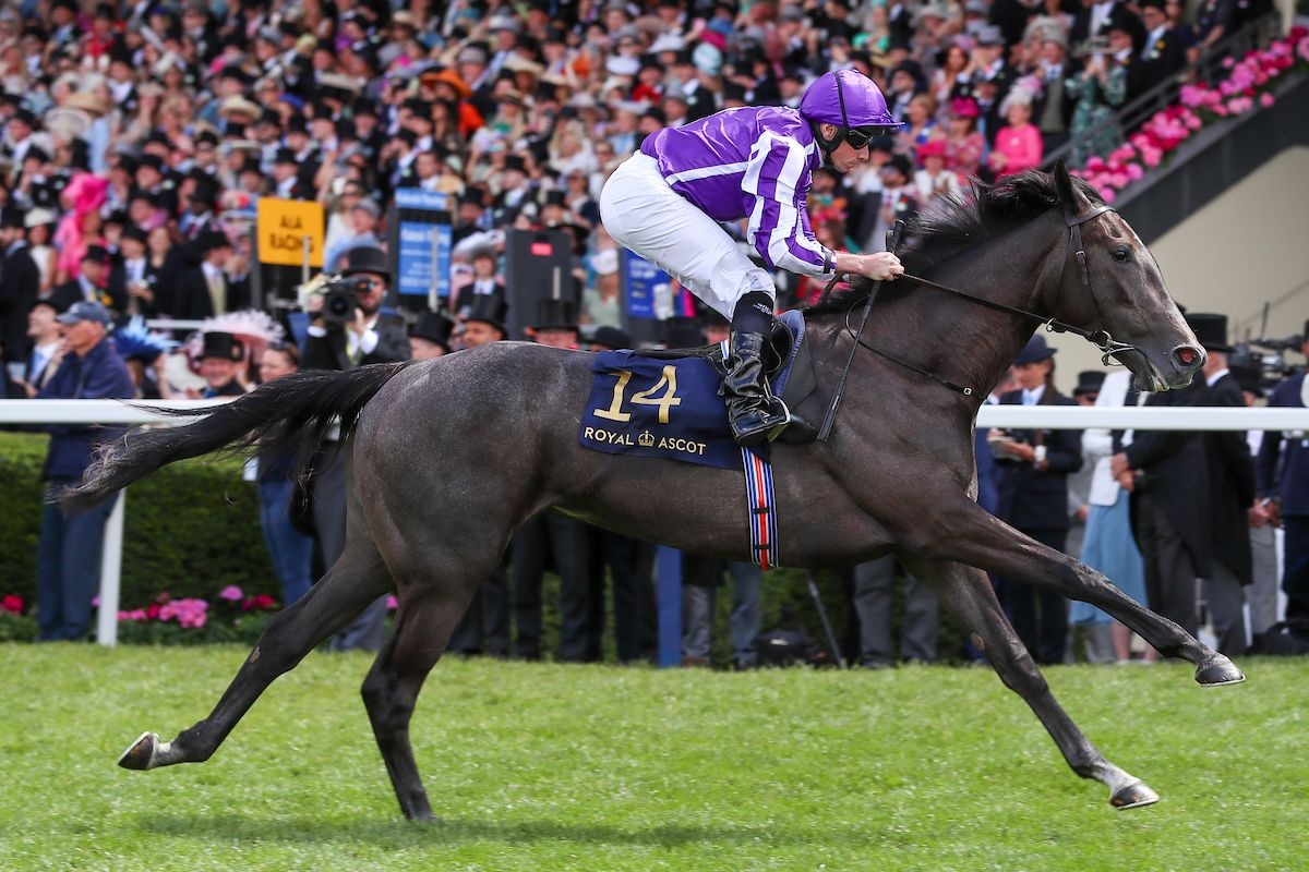 Bedtime Story shown romping in the 2024 Chesham at Royal Ascot
