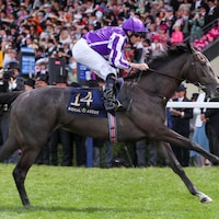Bedtime Story shown romping in the 2024 Chesham at Royal Ascot