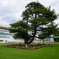 Belmont Park Racetrack (Photo by Cogliaense Photos/NYRA)