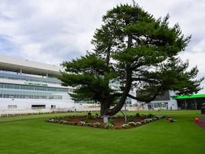 Belmont Park Racetrack (Photo by Cogliaense Photos/NYRA)