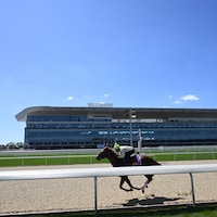 Belmont Park Racetrack (Photo by Coglianese Photos/NYRA)