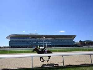Belmont Park Racetrack (Photo by Coglianese Photos/NYRA)