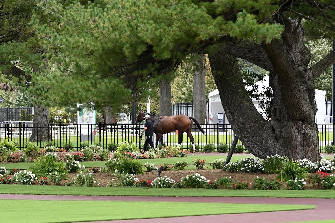 Belmont Scenic