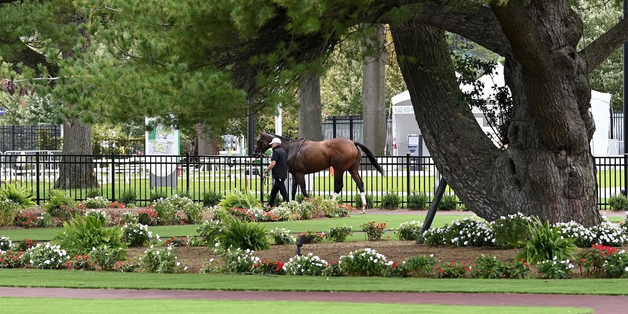 Belmont Scenic