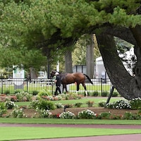 Belmont Scenic