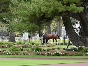 Belmont Scenic