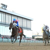 Benedetta wins the American Beauty Stakes at Oaklawn Park.