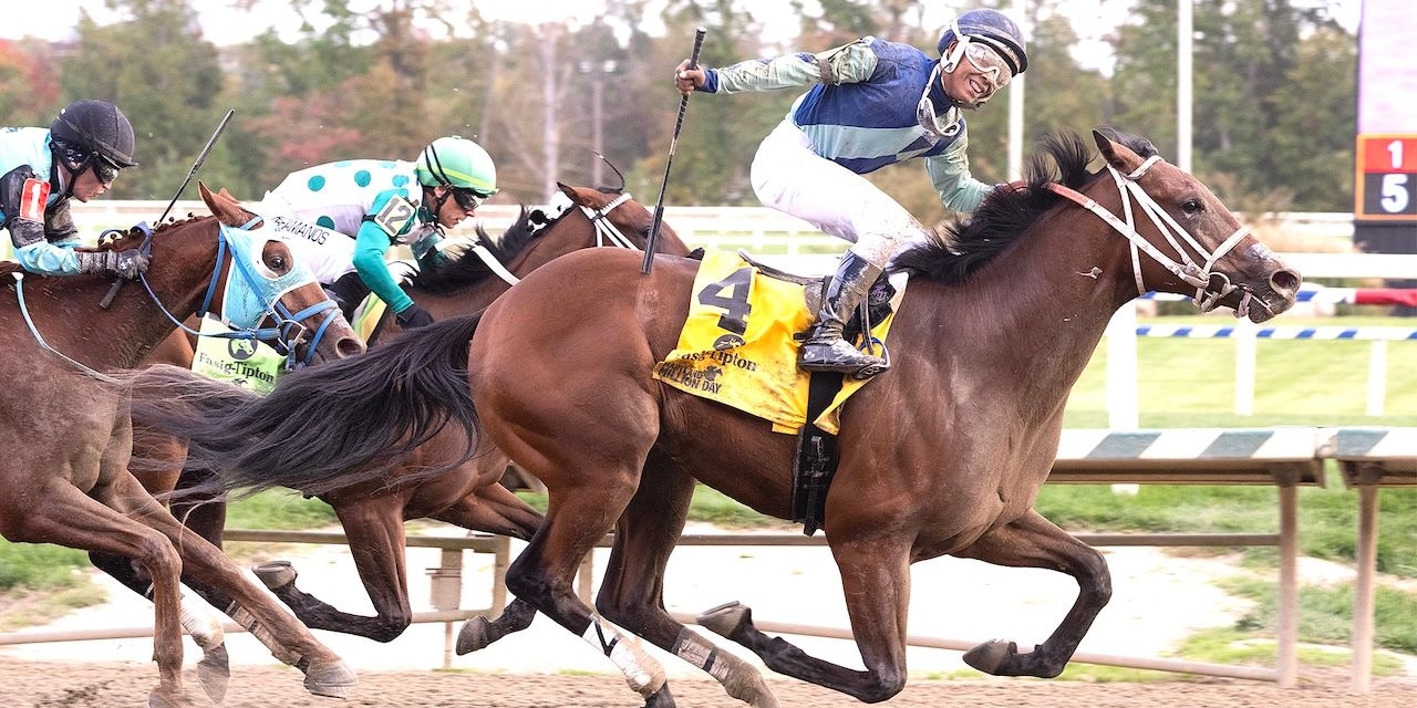 Big Cuddle wins the Marland Million Nursery at Laurel Park. 