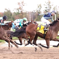 Big Cuddle wins the Marland Million Nursery at Laurel Park. 