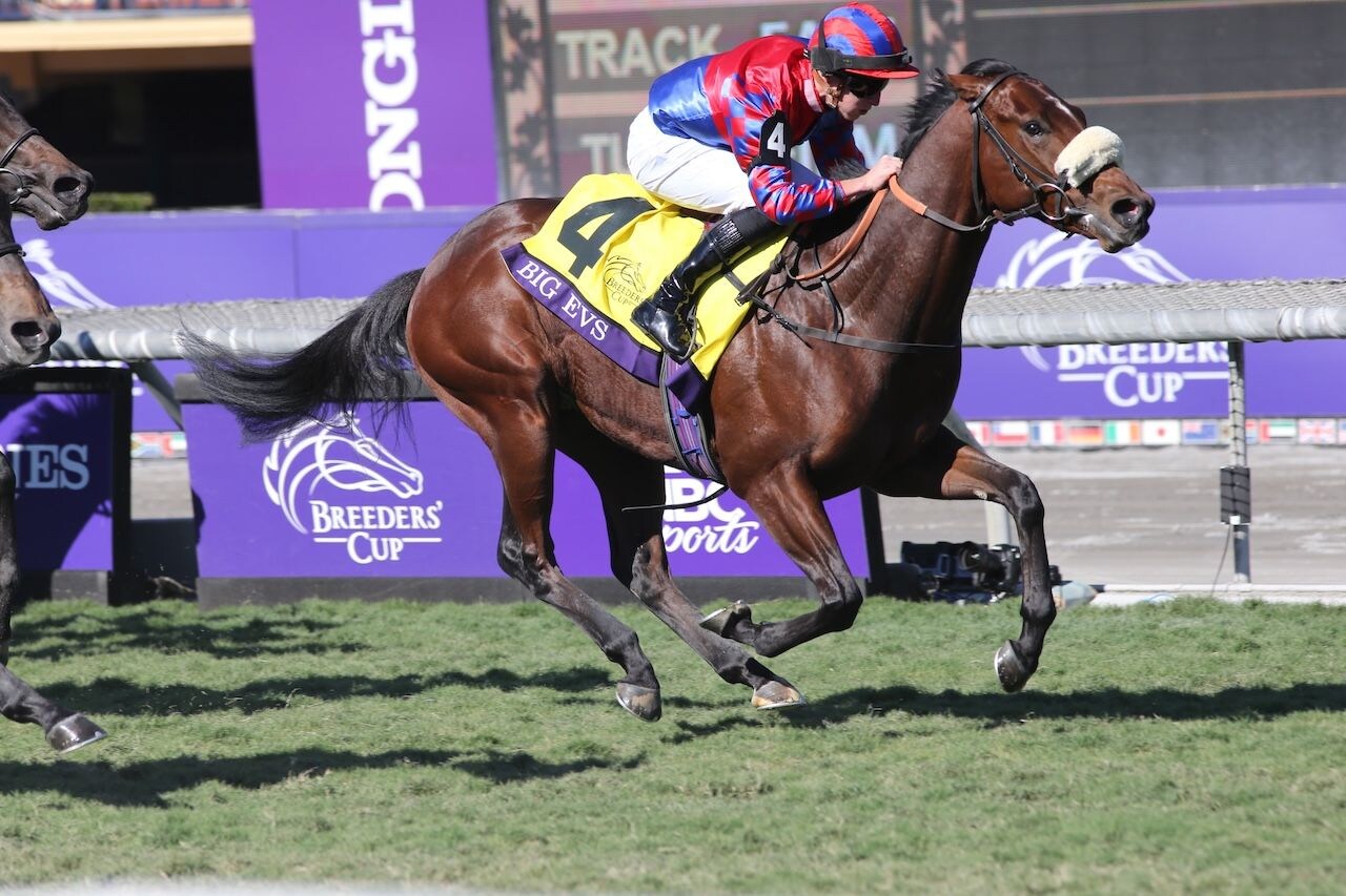 Big Evs works out prior to the Breeders' Cup at Del Mar.