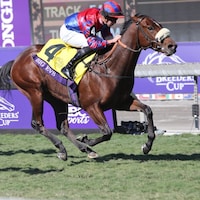 Big Evs works out prior to the Breeders' Cup at Del Mar.