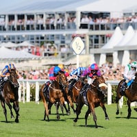 Big Evs wins the Windsor Castle