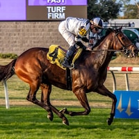 Big Trouble wins at Fair Grounds.