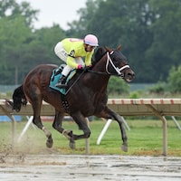 Bishops Bay wins the American Pharoah Overnight Stakes at Oaklawn Park.