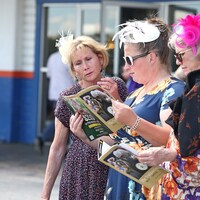 Black-Eyed Susan Day Scenics at Laurel Park. 