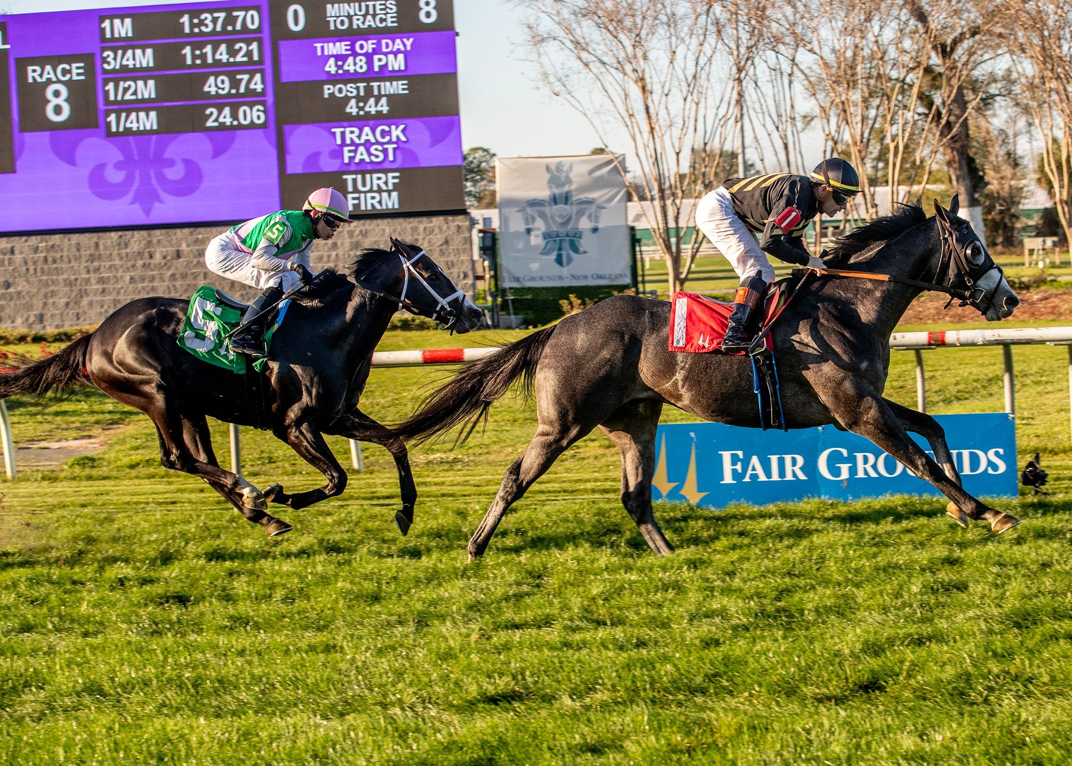 Black Hornet wins the Black Gold at Fair Grounds.